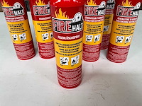 Prof brandblusser 750 ml geschikt voor kleine vuren (10x) - afbeelding 2 van  3