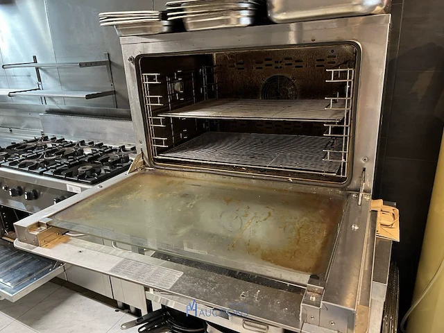Professionele heteluchtoven - afbeelding 4 van  8