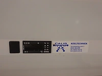 Professionele koel / vrieswand de rigo - afbeelding 2 van  19