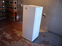 Proline koelkast - afbeelding 2 van  8