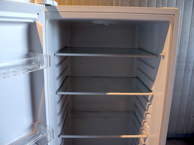 Proline koelkast - afbeelding 4 van  8