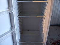 Proline koelkast - afbeelding 5 van  8