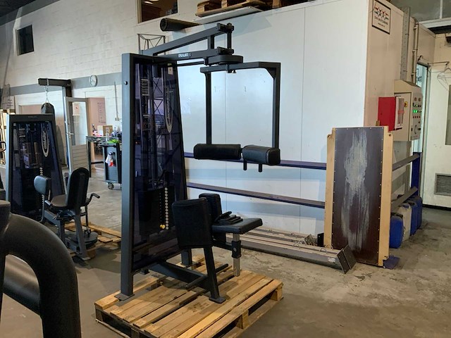 Pulse commercial torso twist krachtstation - afbeelding 1 van  5