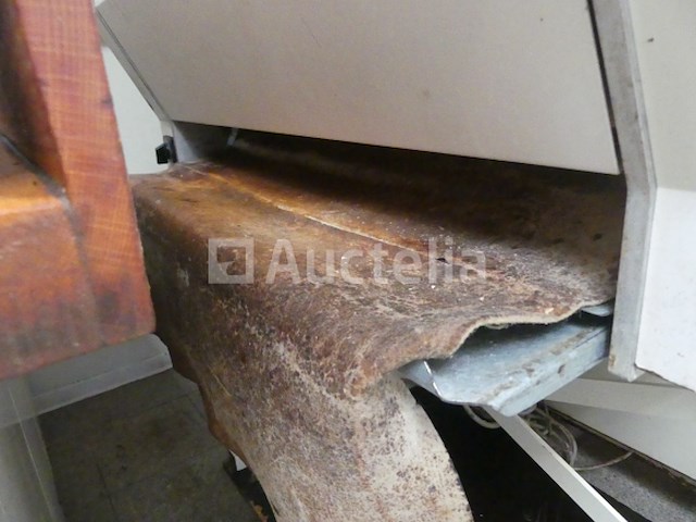 Puma broodketting - afbeelding 7 van  22