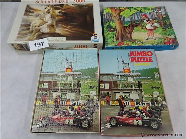 Puzzel 4 stuks - afbeelding 1 van  3