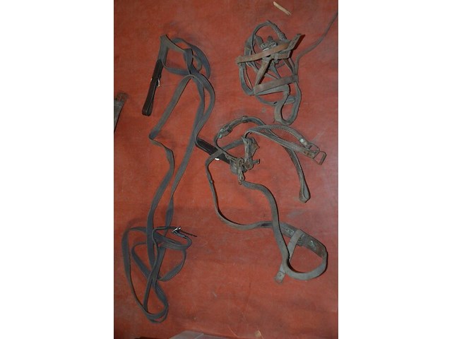 Pvc kist met paardengerief - afbeelding 3 van  6