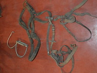 Pvc kist met paardengerief - afbeelding 4 van  6