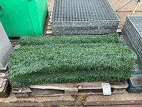 Pvc kunsthaag (7x) - afbeelding 1 van  2