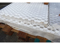 Pvc-rooster - afbeelding 7 van  8
