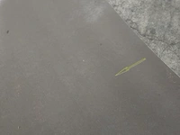 Pvc zelfklevend 60m² - afbeelding 3 van  5