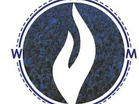 Pz amow - asse - flash sale