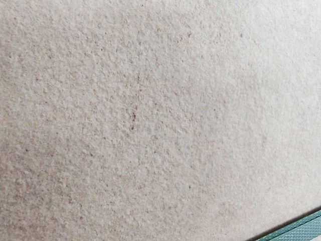 Qua granite ark ivory outdoor tegel 60x60x2 cm 23,04 m² - afbeelding 3 van  6