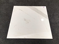 Qua granite calacatta gepolijst 60x60 cm tegel 138,24 m² - afbeelding 5 van  9