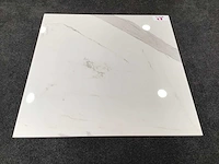 Qua granite calacatta gepolijst 60x60 cm tegel 138,24 m² - afbeelding 4 van  9