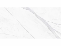 Qua granite calacatta gepolijst 60x60 cm tegel 46,08 m² - afbeelding 6 van  10