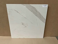 Qua granite calacatta gepolijst 60x60 cm tegel 92,16 m² - afbeelding 2 van  10