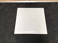 Qua granite opium blanco gepolijst 60x60 cm tegel 46,08 m² - afbeelding 4 van  6