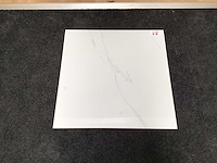 Qua granite opium blanco gepolijst 60x60 cm tegel 92,16 m² - afbeelding 4 van  6