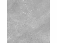 Qua granite pulpis grijs gepolijst vloertegel 100x100 cm 60 m² - afbeelding 4 van  14