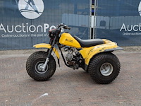 Quad aviso 1000 vem benzine (marge) - afbeelding 1 van  1