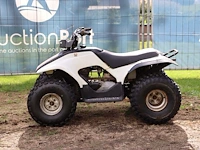 Quad benzine