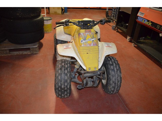 Quad suzuki voor kinderen vanaf 12 jaar - afbeelding 6 van  11