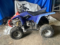 Quad - afbeelding 1 van  10