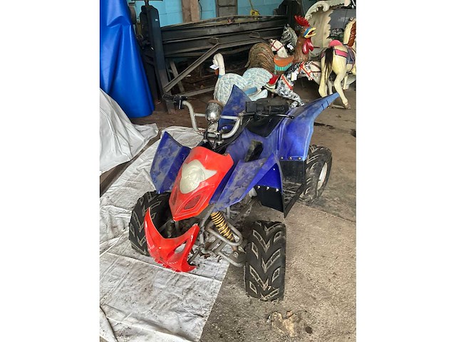 Quad - afbeelding 4 van  10