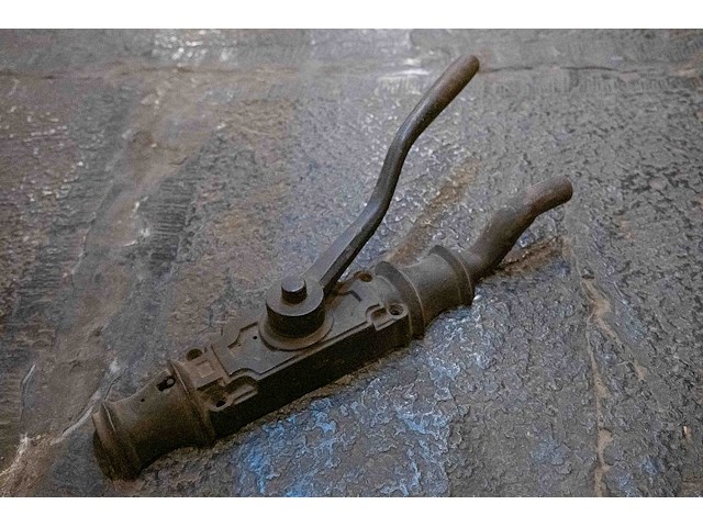 Raamhendel - afbeelding 1 van  1