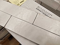 Ragno eden bianco glans wandtegel 7x28 cm 14,7 m² - afbeelding 7 van  7