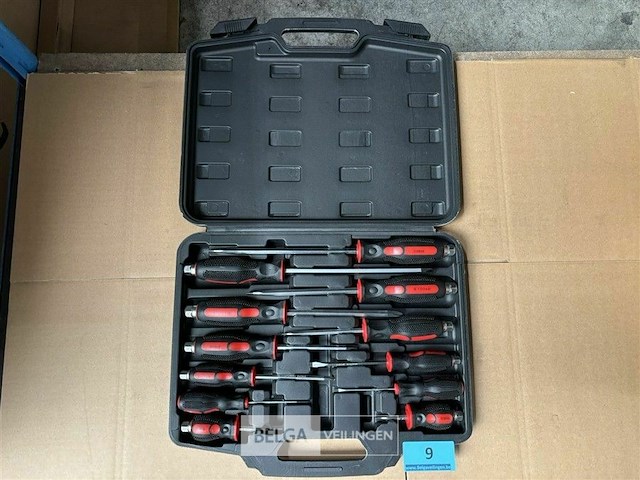 Ragnor 12 pcs screwdriver set - afbeelding 2 van  5
