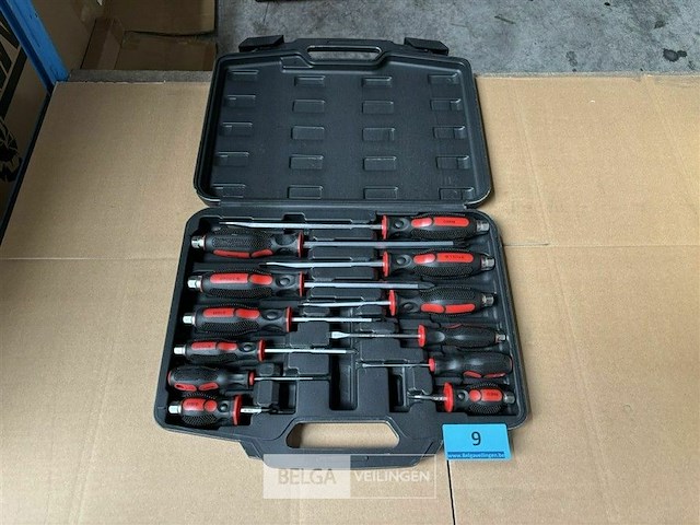 Ragnor 12 pcs screwdriver set - afbeelding 3 van  5