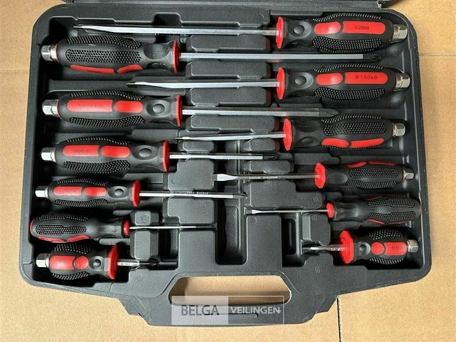 Ragnor 12 pcs screwdriver set - afbeelding 4 van  5