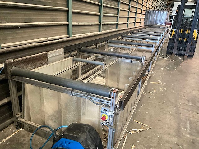 Raimondi zaaglijn - afbeelding 3 van  7