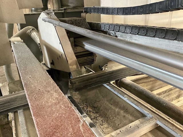 Raimondi zaaglijn - afbeelding 7 van  7