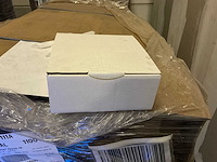 Raja 21x21x9 kartonnen dozen (2200x) - afbeelding 1 van  4