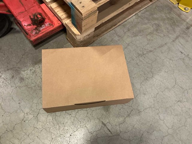 Raja 34x23x9 cm kartonnen dozen (550x) - afbeelding 4 van  5