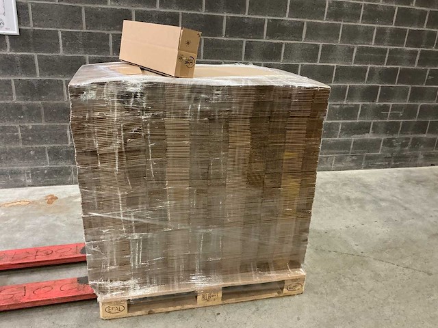 Raja 60x10x 10 cm kartonnen dozen (960x) - afbeelding 2 van  4