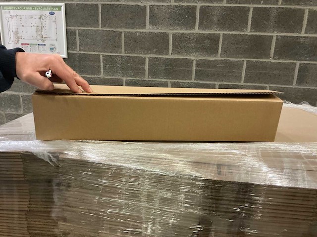 Raja 60x10x 10 cm kartonnen dozen (960x) - afbeelding 3 van  4