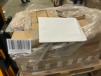 Raja pdc28b envelop (2100x) - afbeelding 3 van  3