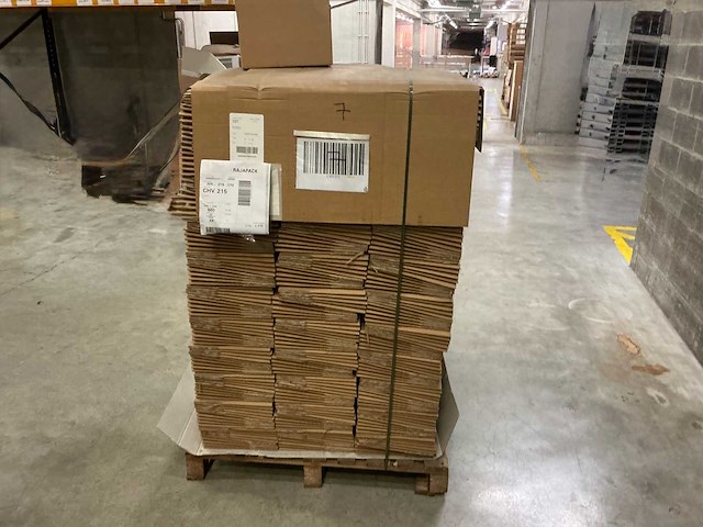 Rajapack 30.5x21.5cm kartonnen dozen (660x) - afbeelding 3 van  7