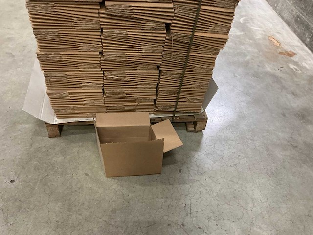 Rajapack 30.5x21.5cm kartonnen dozen (660x) - afbeelding 4 van  7