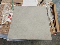 Rako abetone grey mat tegel 59,8x59,8 cm 46,08 m² - afbeelding 1 van  8