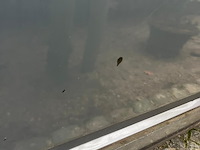 Range rover lg. td v6 - full option - afbeelding 25 van  40