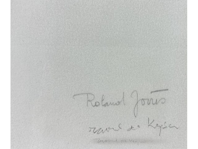 Raoul de keyser - gesigneerde editie - afbeelding 2 van  2