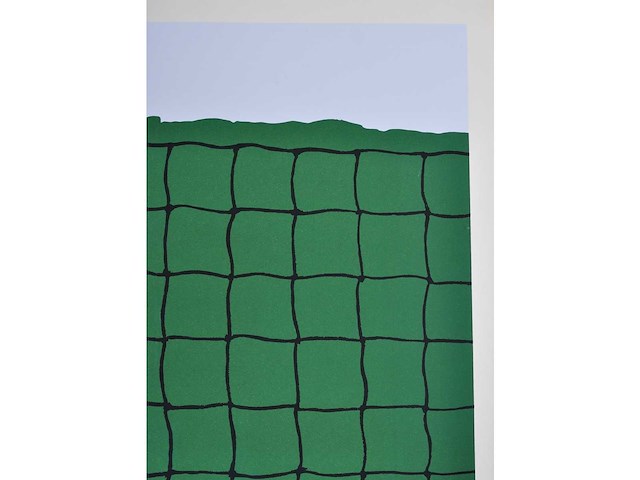Raoul de keyser - network - zeefdruk - afbeelding 7 van  9