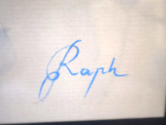 Raph aquarel - afbeelding 4 van  5