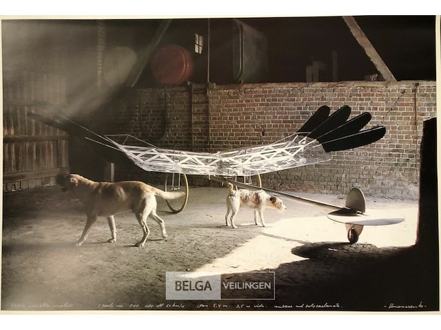 Raven matrix - 2001 - afbeelding 1 van  2