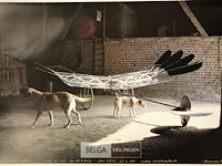 Raven matrix - afbeelding 1 van  2