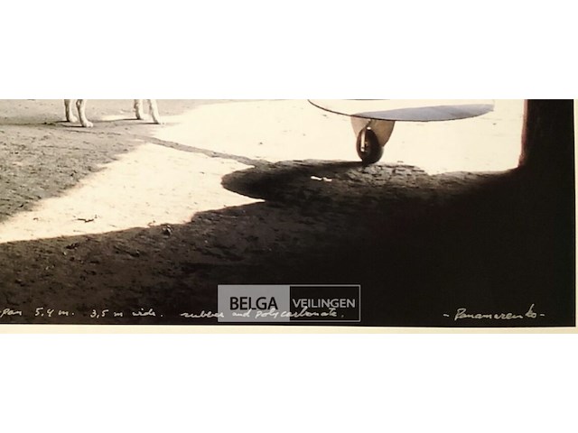 Raven matrix - afbeelding 2 van  2